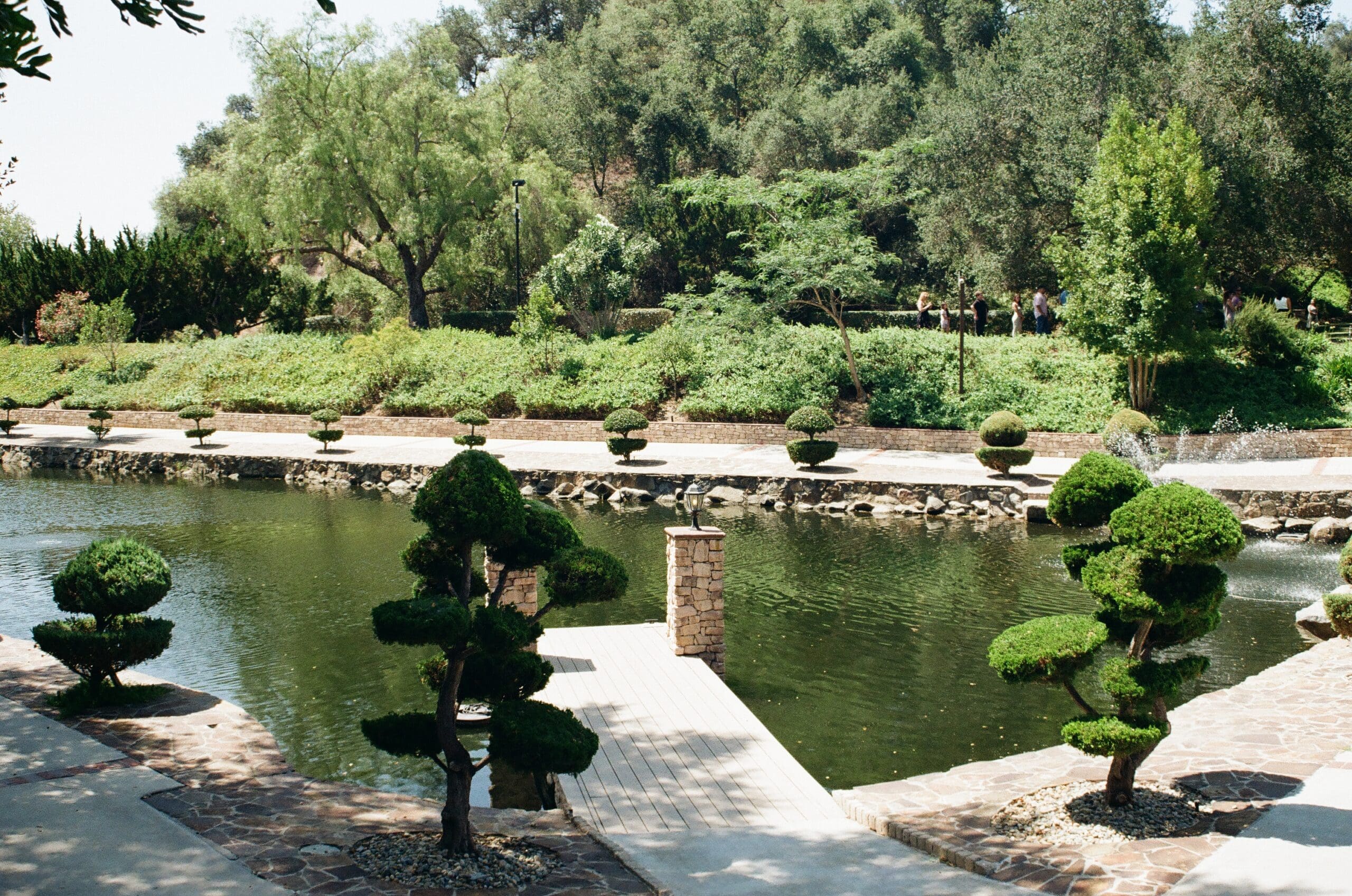 Scenic green, tree-lined lake at Los Willows Estate in Fallbrook, California, surrounded by lush landscaping and tranquil natural beauty.